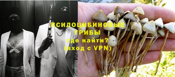 Альфа ПВП Арсеньев