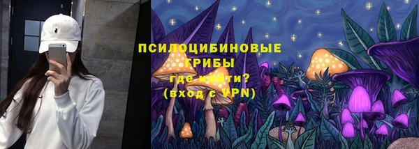 Альфа ПВП Арсеньев
