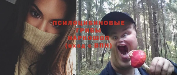 Альфа ПВП Арсеньев