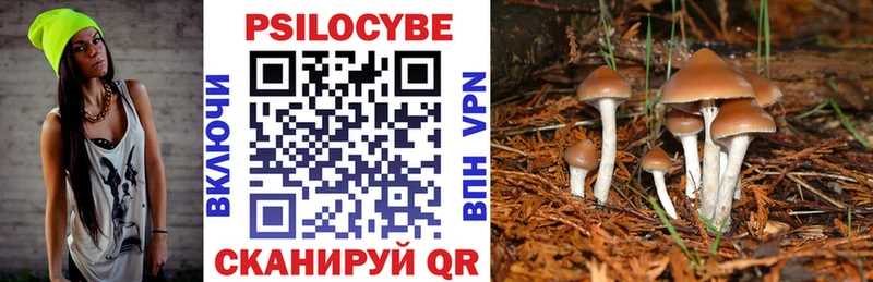 Псилоцибиновые грибы прущие грибы  Таруса 